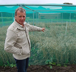 Doktor Uwe Schrader vid ett vetefält med GMO som attackerades av aktivister i juli.